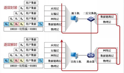互聯(lián)網(wǎng)體系結(jié)構(gòu) 計算機(jī)網(wǎng)絡(luò)的骨干與演進(jìn)
