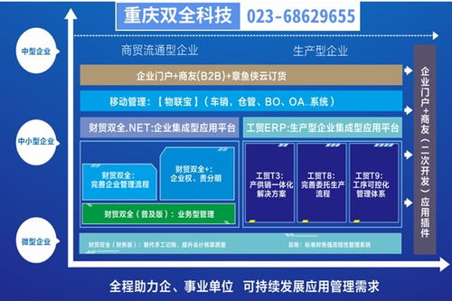 彭水地區(qū)生產(chǎn)型企業(yè)管理制度優(yōu)化 基于重慶管家婆軟件的二次開發(fā)實(shí)踐